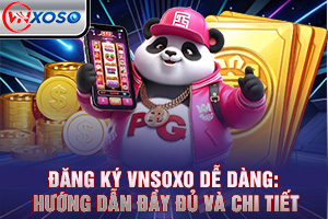 Ảnh đại diện bài viết hướng dẫn đăng ký VNsoxo
