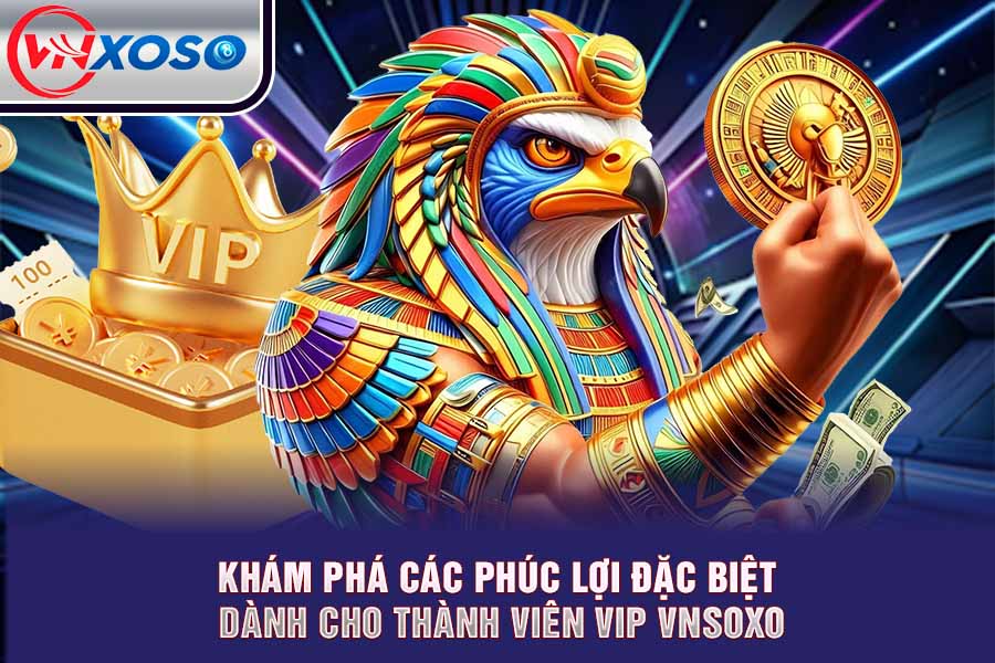 Khám Phá Các Phúc Lợi Đặc Biệt Dành Cho Thành Viên VIP VNsoxo