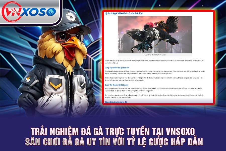 Trải Nghiệm Đá Gà online VNsoxo Sân Chơi Uy Tín Với Tỷ Lệ Cược Hấp Dẫn